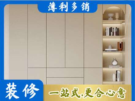 佛山鞋柜定制